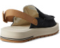 Donna Mesa Mule