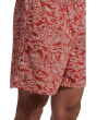 All In Shorts