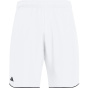 ADIDAS Мужские шорты Club Tennis Climacool (длина 9 дюймов)