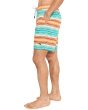Baja Sarape Stripe 8