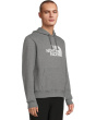 Evolution 1/2 Dome Regular Hoodie