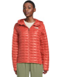 Thermobal Hooded Jacket