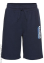 hummel Шорты C12097530-4294