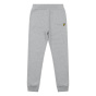 Lyle and Scott Спортивные штаны для бега трусцой Junior
