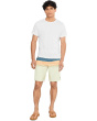 Hyperfreak Heat Stripe 20'' Boardshorts