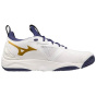 Мужская волейбольная обувь Mizuno Wave Momentum 3 45