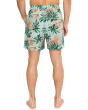 Naples Tidal Fronds 6