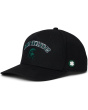 Michigan State Game Day Adjustable Snapback Hat