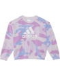 Long Sleeve Printed Crew Neck Pullover Preloved(Big Kid)