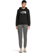Evolution Sketch Logo Half Dome Hoodie - Graphic