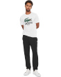 Tapered Leg Sweatpants