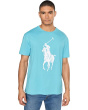 Polo Ralph Lauren Мужская футболка из джерси Big Pony классического кроя