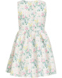 Floral Bow Front Dress (Toddler/Little Kid/Big Kid)