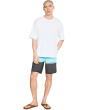 Lennox Scallop 19'' Boardshorts