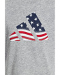 Usa Flag Logo Tee (Toddler/Little Kids)
