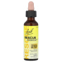 Bach, Original Flower Remedies, Rescue Remedy®, натуральное средство для снятия стресса, 20 мл (0,7 жидк. унции)
