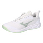 Женская домашняя обувь Mizuno Wave Luminous Pro V1GC2640