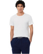 100% Cotton Regular Fit Crew-Neck T-Shirt 3-Pack