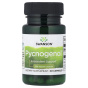 Swanson, Pycnogenol®, 100 мг, 30 капсул