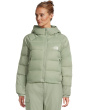 Hydrenalite_ _ Down Hoodie