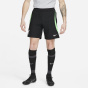Nike Мужские трикотажные футбольные шорты Dri-Fit Adv от Liverpool Fc Strike Elite, футбольные короткие мужские шорты