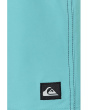 Surfsilk Panel 20 Boardshorts