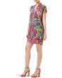 Tarashi Dress