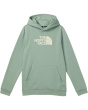 Evolution 1/2 Dome Pullover Hoodie (Little Kid/Big Kid)