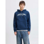 Jack and Jones Мужская толстовка с капюшоном в виде арки с логотипом 2 шт.