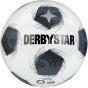 DERBYSTAR Шариковый ВСУ ТТ дБ в25
