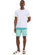 Hyperfreak Mysto Block Scallop 19'' Boardshorts
