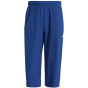 ADIDAS Мужские брюки-капри, основы для тренировок, тканые 3/4