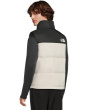 1996 Retro Nuptse Vest