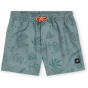 O'NEILL Детские плавки MIX & MATCH CALI PRINT 13"шорты для плавания