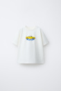 Zara Футболка С АВТОПЕЧАТЬЮ 511392427-250-18