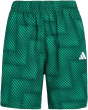 adidas Kids Футбольные шорты Aop World (большой ребенок)