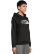 Evolution Sketch Logo Half Dome Hoodie - Graphic