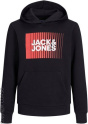 Jack & Jones Junior Толстовка с капюшоном C14084929-4290