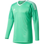 ADIDAS Мужская футболка вратаря Revigo 17